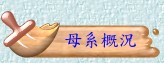 母系概況